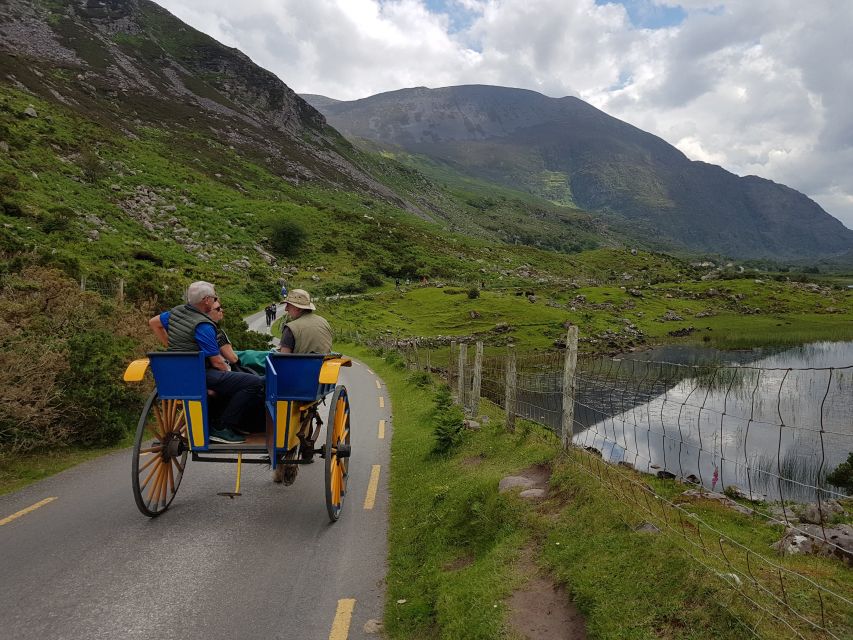 Killarney: Lakes of Killarney Boat Tour with Transfer - A 90-minute cruise through the Lakes of Killarney