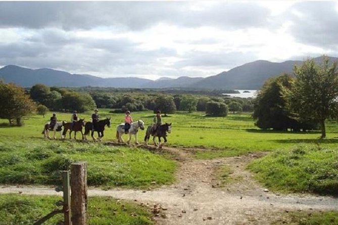 Killarney National Park Horseback Ride. Co Kerry. Guided. 1 hour. - Why horseback is a fine way to see Killarney