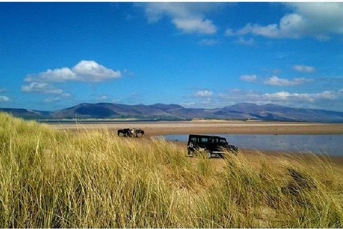 Killarney National Park Horseback Ride. Co Kerry. Guided. 1 hour. - Guides, horses, and the overall mood