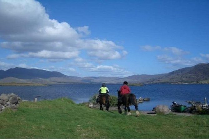 Killarney National Park Horseback Ride. Co Kerry. Guided. 1 hour. - How much value do you get for $129.13?