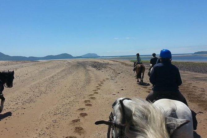 Killarney National Park Horseback Ride. Co Kerry. Guided. 2 hours. - Clothing, weather, and comfort on the trail