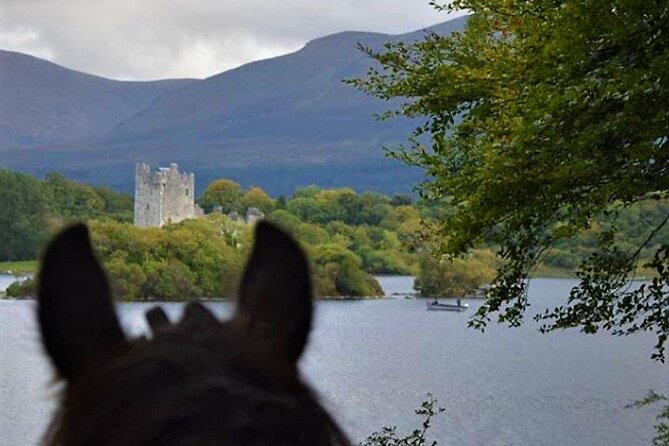 Killarney National Park Horseback Ride. Co Kerry. Guided. 3 hours. - Guides who shape the experience