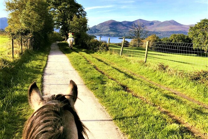 Killarney National Park Horseback Ride. Co Kerry. Guided. 3 hours. - Riding equipment and physical demands