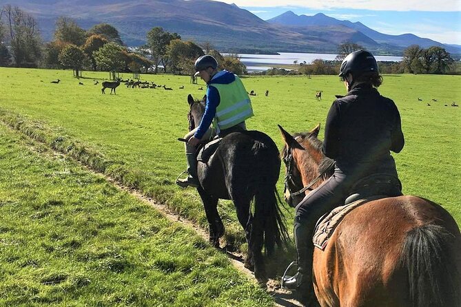 Killarney National Park Horseback Ride. Co Kerry. Guided. 3 hours. - Is $282.97 a fair price?