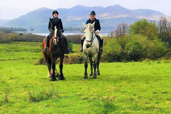 Killarney National Park Horseback Ride. Co Kerry. Guided. 3 hours. - Who will enjoy this ride most?