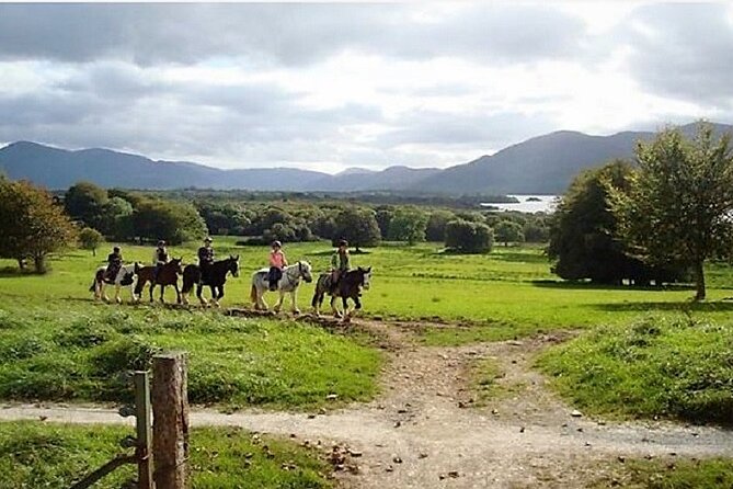 Killarney National Park Horseback Ride. Co Kerry. Guided. 3 hours. - Booking, cancellation, and simple planning tips