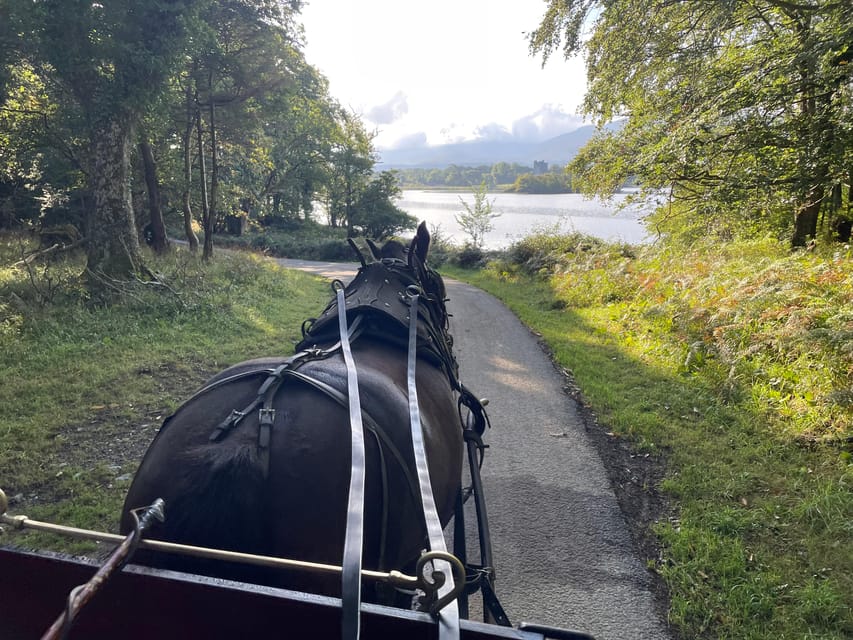 Killarney National Park Jaunting Car Tour - Why a jaunting car works well in Killarney