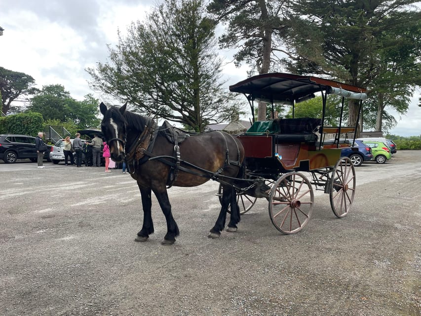 Killarney National Park Jaunting Car Tour - Entering Killarney National Park