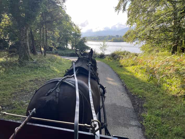 Killarney National Park Jaunting Car Tour - Following the shore of Lough Leane