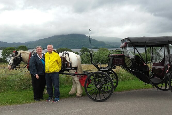 Killarney National Park Tour - Ross Castle and the shores of Lough Leane