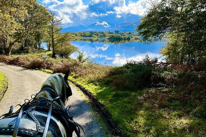 Killarney National Park Tour - The monastery, mountain views, and open parkland