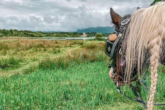 Killarney National Park Tour - Why the private carriage format works