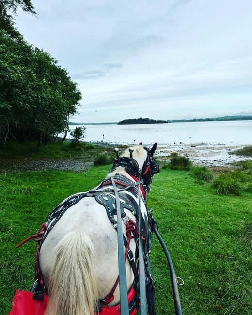 Killarney National Park Tour - Is $51 a fair price for one hour?