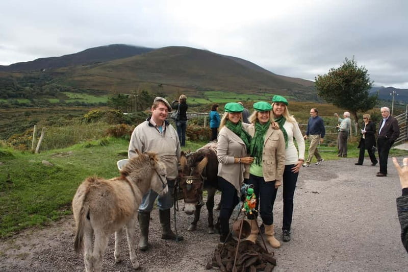 Killarney: Ring of Kerry Bus Tour - Kerry Bog Village and old rural life