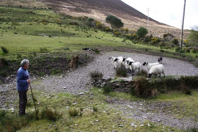 Killarney: Ring of Kerry Bus Tour - Glenbeigh, Rossbeigh Beach, and the Iveragh hills