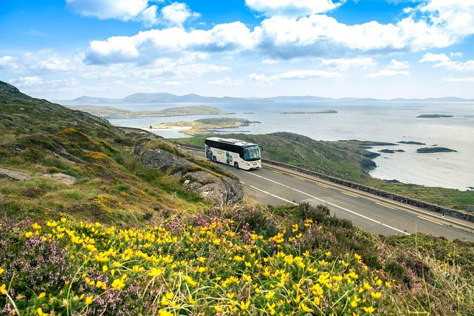 Killarney Super Saver: Dingle and Slea Head Day Trip plus Ring of Kerry and Killarney Lakes Day Trip - Starting in Killarney at 10:15 a.m.