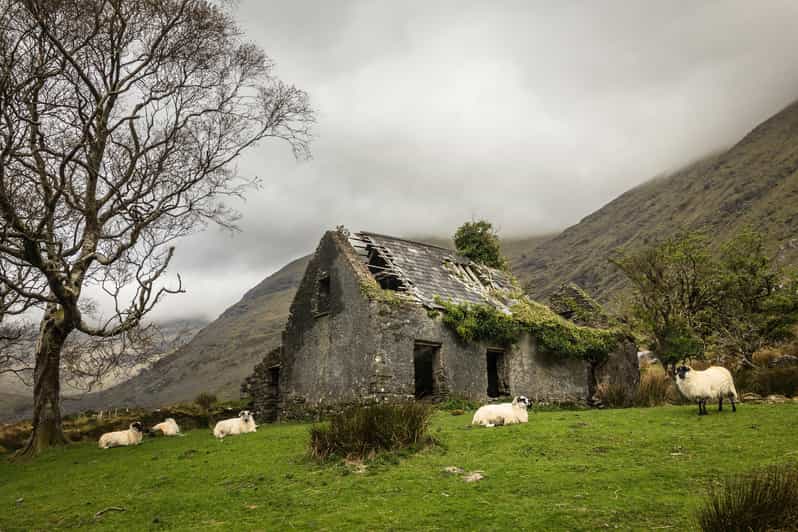 Killarney: The Ring of the Reeks - Backroads Rural Tour - Why this is more than a standard Killarney coach tour