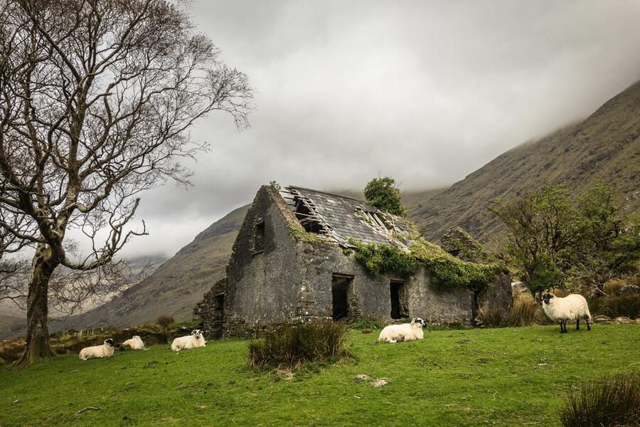 Killarney: The Ring of the Reeks - Backroads Rural Tour - The Bridia Valley and Ballaghbeama Gap