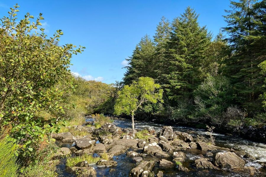 Killarney: The Ring of the Reeks - Backroads Rural Tour - A useful midday break in Kenmare