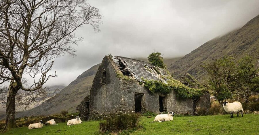 Killarney: The Ring of the Reeks - Backroads Rural Tour - What the photography instruction is really like