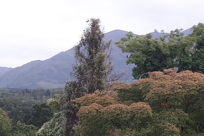 Killarney Valley & National Park - Private Tour - Torc Waterfall rewards a short walk