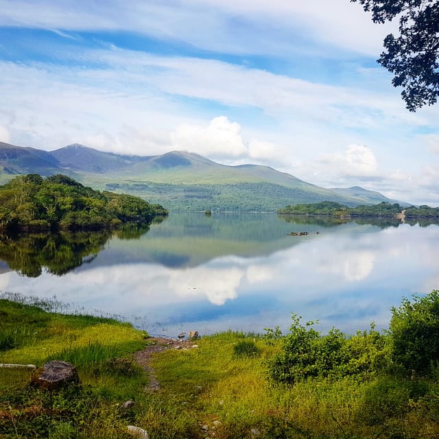Lakes of Killarney: Boat Cruise - Who should book this Killarney boat trip?