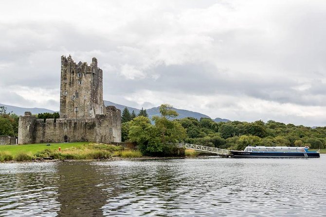 Lakes of Killarney Cruise - Forest, oak woodland, and the MacGillycuddy Reeks
