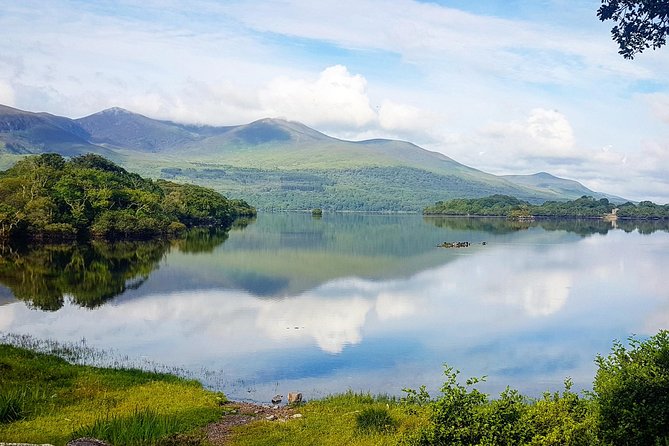 Lakes of Killarney Cruise - Wildlife sightings are a welcome bonus