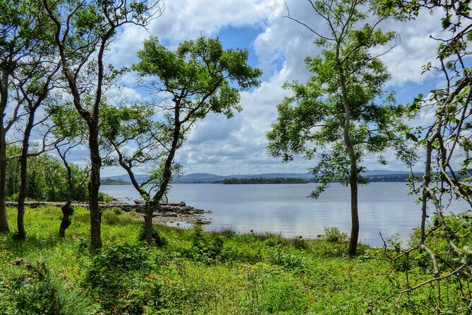 Lough Corrib History and Scenic Lake Cruise from Lisloughrey Pier Tour - Key points to know before you go
