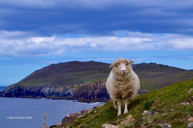 Luxury 'Luck of the Irish' Tour - 4 Day Tour - Day One: From Dublin To Blarney And Killarney