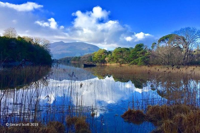 Luxury Photography Day Tour on Dingle Peninsula - Fully Guided and Chauffeured - The value of a guide who can adjust the day
