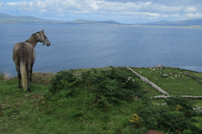 Luxury Photography Day Tour on Ring of Kerry and Skellig Ring - Fully Guided and Chauffeured - Waterville, Charlie Chaplin, and time for a camera