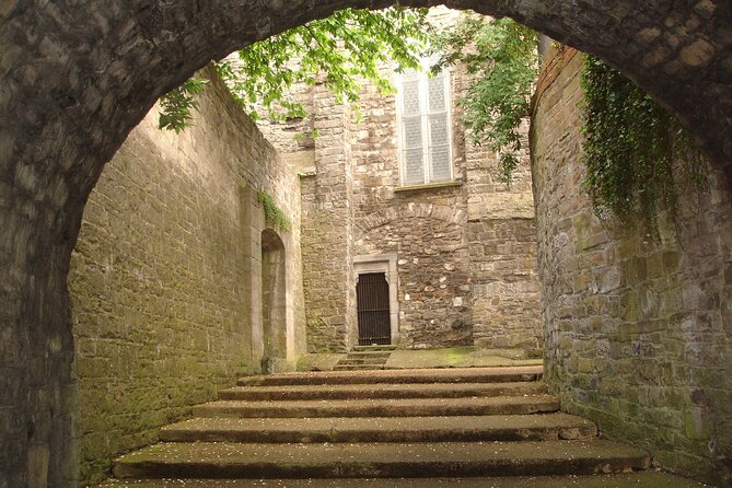 Medieval Dublin Walking Private Guided Tour - Reading the oldest walls at Wood Quay