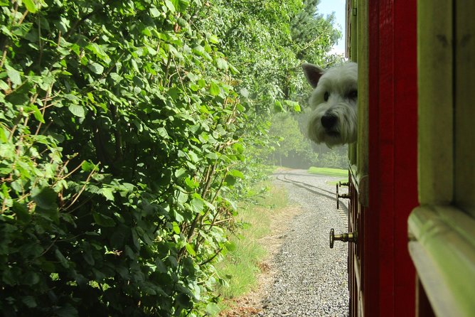 Oakfield Park Day Pass and Train Ride - Why Oakfield Park works as a Donegal half-day