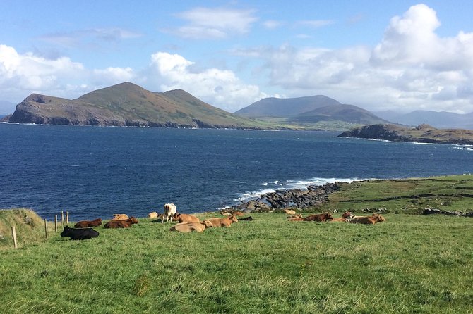 Off the beaten Path Private Tour of Ring of Kerry - The Skellig Ring and the coast beyond