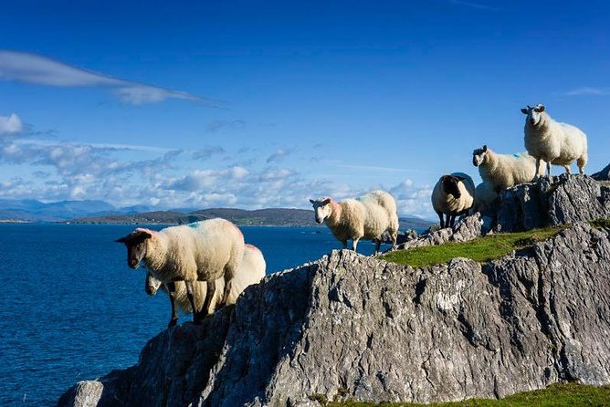 Off the beaten Path Private Tour of Ring of Kerry - What the $782.67 price really buys
