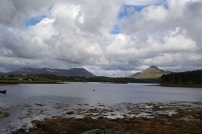 Oyster Farm and Tasting Experience - Key points to know before you book