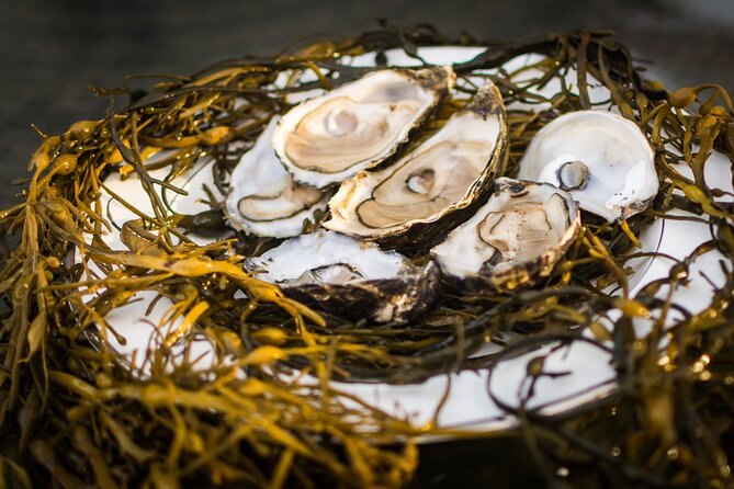 Oyster Farm and Tasting Experience - Views at the foot of Connemara National Park