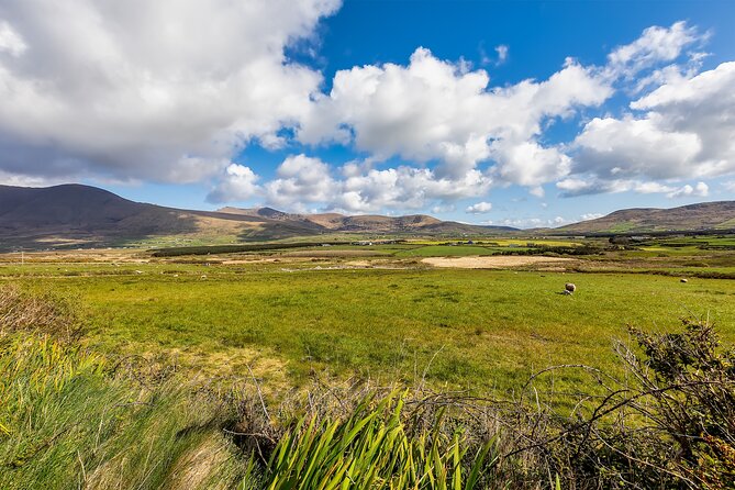 Personalized Full-Day Dingle Peninsula and Slea Head Drive Tour - Inch Beach Opens the Day With Wind and Space