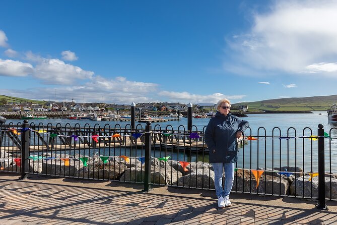 Personalized Full-Day Dingle Peninsula and Slea Head Drive Tour - The Drive Between Stops Is Part of the Experience