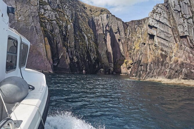 Private 1-Hour Guided Boat Tour in Dingle Peninsula - What you can see from the water