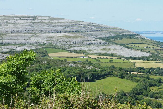 Private Burren and Cliffs of Moher Full Day Tour - Caherconnell combines stone walls and sheepdogs