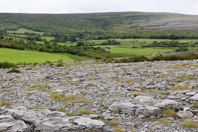 Private Burren and Cliffs of Moher Full Day Tour - Poulnabrone Dolmen puts the Burren’s stone country in focus