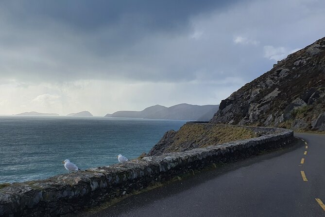 Private Chauffeur Service From Killarney to Shannon Airport - Cancellation and weather terms