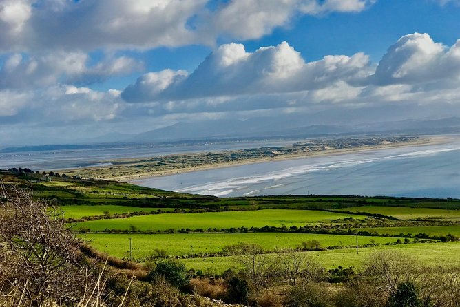 Private Dingle and Slea Head - Dingle town brings the day back to earth