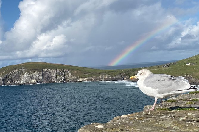 Private Dingle and Slea Head - Families, strollers, and mobility limits
