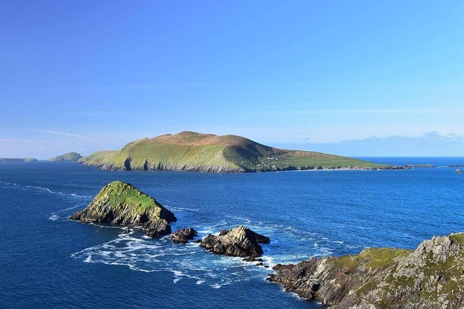 Private Dingle Peninsula Full-Day Tour - The baby lamb stop