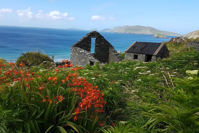 Private Dingle Peninsula Full-Day Tour - Eask Tower and Dingle Bay