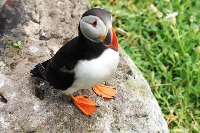 Private Full Day Tour From Killarney - Ring of Kerry/Skellig - Why a private Kerry day works well
