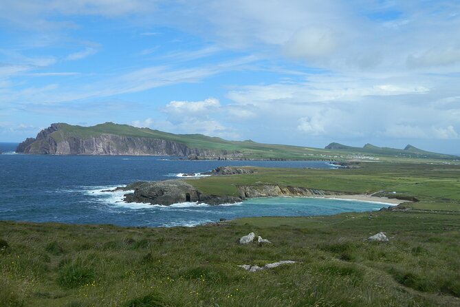 Private Full-Day Tour to Dingle and Slea Head - Two hours in Dingle town